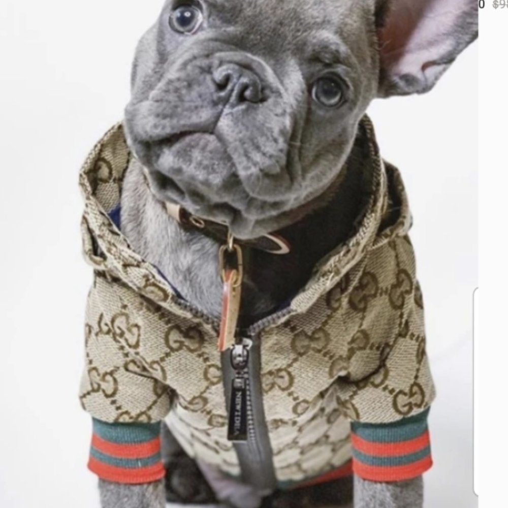 Gucci poochie jacket